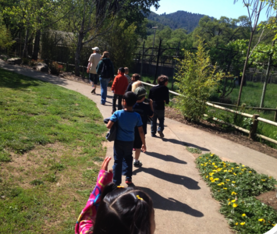 Students raised money for Safari West then got to go on a tour.