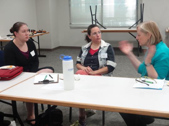 Emily Acosta Lewis, an Assistant Professor of Communication & Media Studies as well as a faculty-in-residence for ACE (Academic and Career Exploration living learning community), Beth Ann Turner, a Lecturer from the Music Department, and Louise Vance, a P