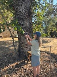 Student working during Bioblitz